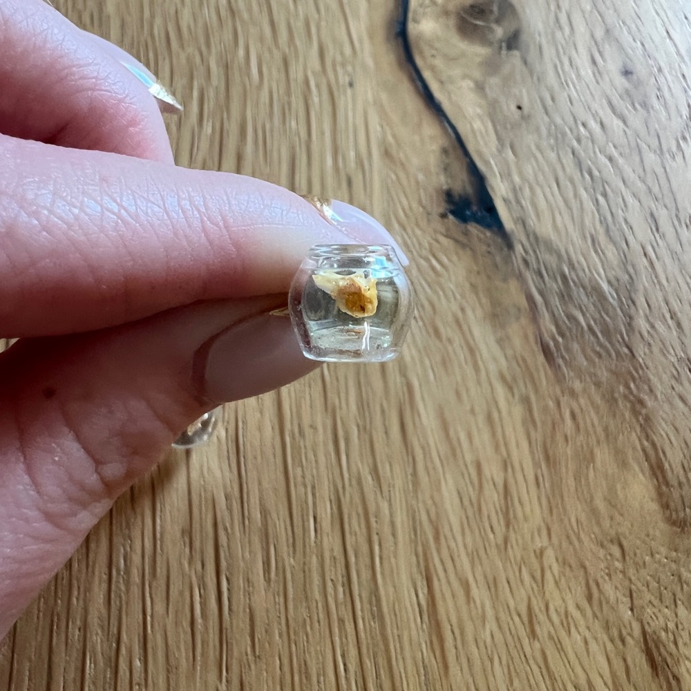 Tiny fishbowl goldfish earrings